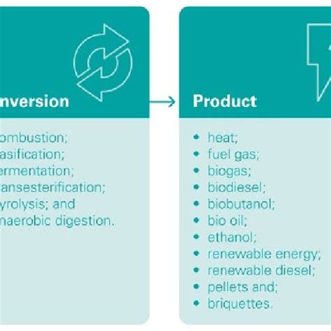 Bioenergy Process 的图像结果