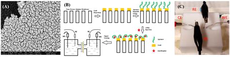 Low-Cost and Portable Biosensor Based on Monitoring Impedance Changes ...