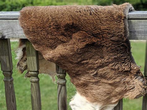 How to Tan a Deer Hide, the Easy Way
