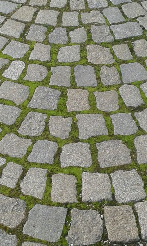 Image result for Cobblestone Path