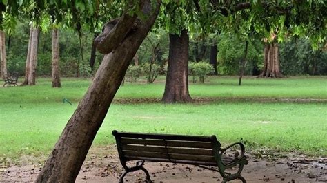 Petition · Withdraw The Proposal Of SDMC To Set Up Kiosks To Sell Milk ...