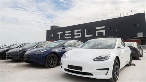Study finds General Motors and Tesla have the most loyal customers ...