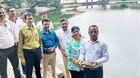 Maharashtra: Panvel fire brigade, vets save turtle trapped with fishing ...