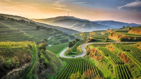 Bing每日壁纸 的图像结果