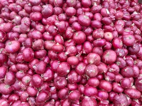 Fresh Red Onion Supplier from Nashik