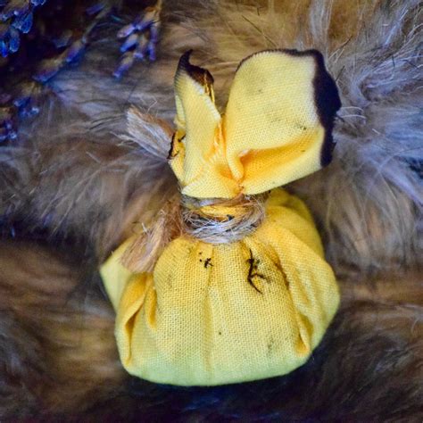 Image result for Mojo Crows