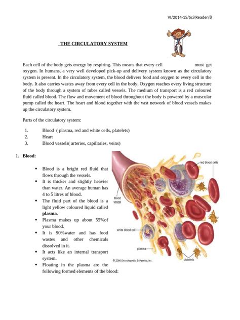 Image result for Circulatory System Tutorial