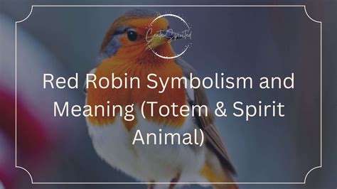 Red Robin Symbolism and Meaning (Totem & Spirit Animal)