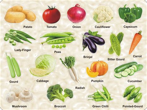 Vegetable Names In English Chart Different Kinds Of Vegetables In A