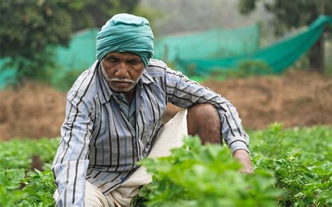 Empowering The Baiga Tribe To Farm Sustainably | Nature inFocus
