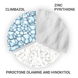 Wella Professionals Clear Scalp Anti-Dandruff Shampoo, 250ml : Amazon ...