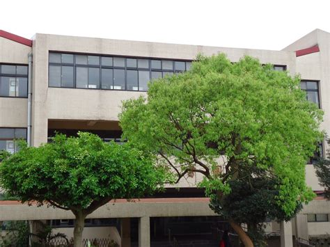 Library Instruction 的图像结果