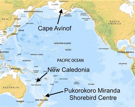 Map Of Alaska To New Zealand