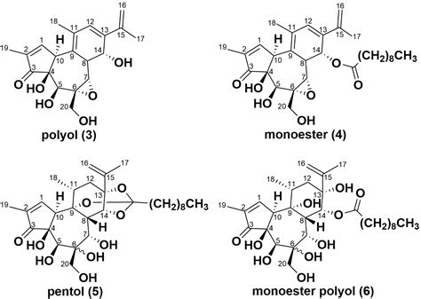 Abiotic Degradation of the Toxin Simplexin by Soil Collected from a ...