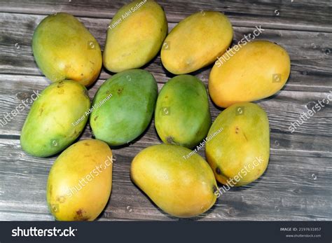Egyptian Taste Images: Browse 3,236 Stock Photos & Vectors Free Download with Trial | Shutterstock
