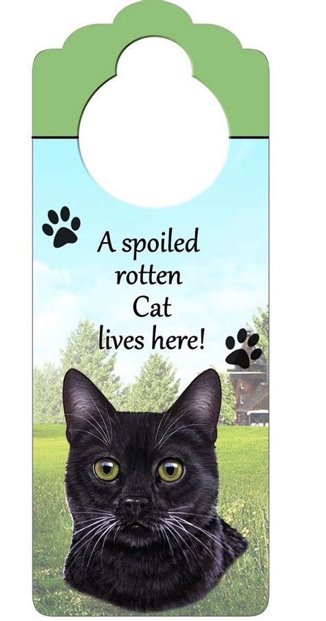 Black Cat Wood Sign"A Spoiled Rotten Black Cat Lives Here"with Artistic ...