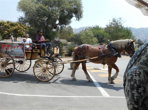 Frandy Campground Gallery | Kern River Camping 93238