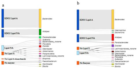 Gut Microbiome-Based Analysis of Lipid A Biosynthesis in Individuals ...