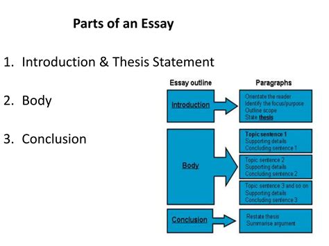Image result for Basic Essay Structure Sample