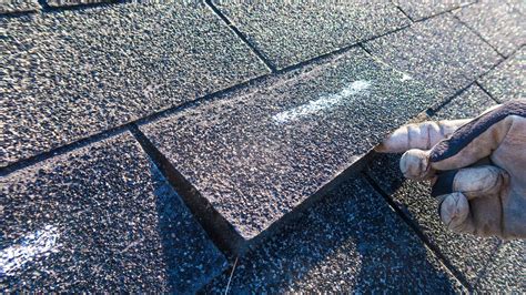 Understanding Roof Leaks: Causes and Prevention in LA - AP Roofing ...
