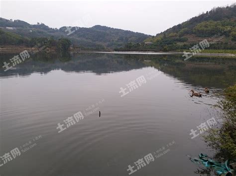 重庆巴南区50亩水库经营权出租 - 700元/亩/年 - 巴南区土流网