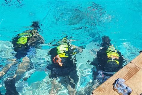 Scuba Crew - Pretoria | Tripadvisor