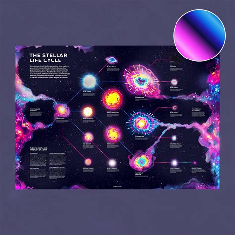 Stellar Life Cycle Poster – Shiny Foil Infographic – the kurzgesagt shop