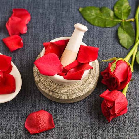 Buy Rose Petals Online at Best Price in India | Rose Petals Bulk ...