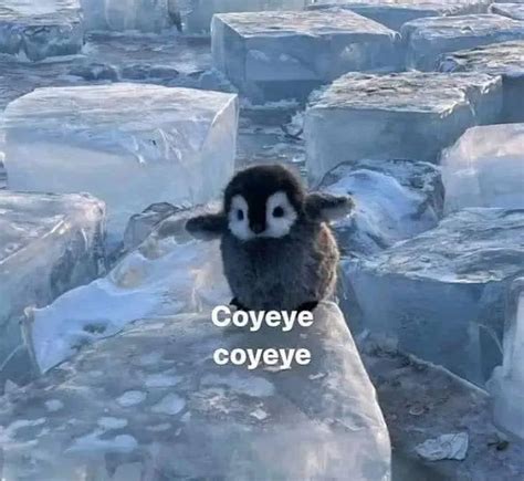 Image result for Visual Basic En Excel