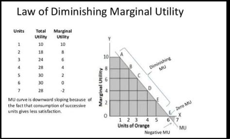 VII. Answer the following in twenty sentences each. 25. Explain the law ...