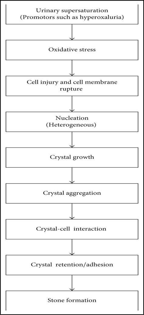 Hydrochlorothiazide for Recurrent Renal Stone