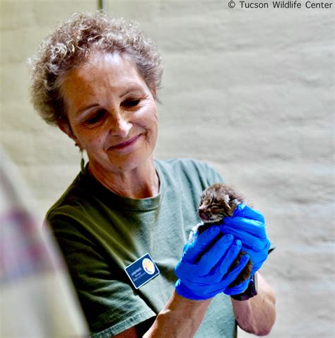 Home - Tucson Wildlife Center