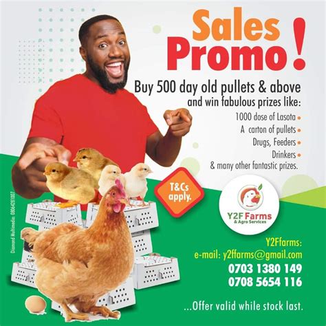 Day Old Pullets At Give Away Prices!!!! - Agriculture - Nigeria