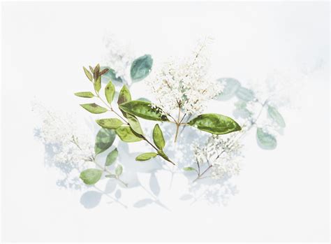 Image result for Iterrows