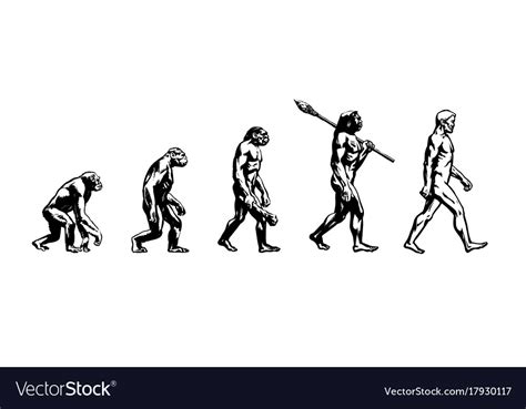 Evolution of Man Vector 的图像结果
