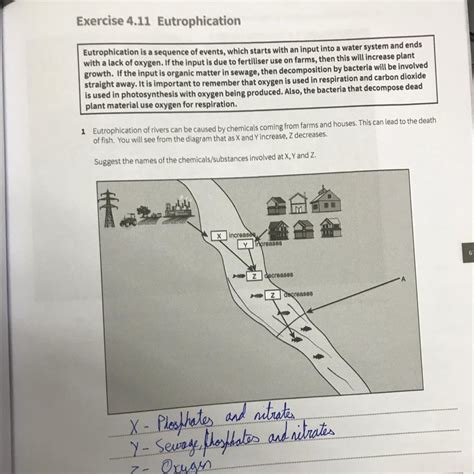 A weir was built at position A on the previous diagram Using the ...