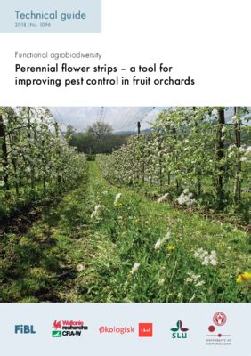 FiBL - Perennial flower strips - an effective measure against pests in ...