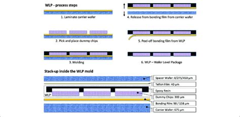 Image result for WLP Process Introduction