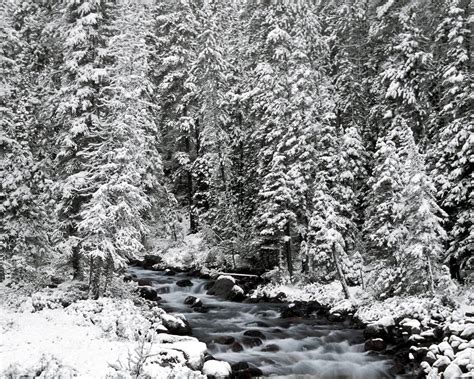Download wallpaper 1280x1024 banff national park, alberta, canada, fir ...