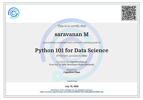 SARAVANAN | Data Analyst Portfolio