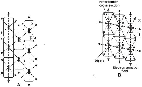 Generation of Electromagnetic Field by Microtubules