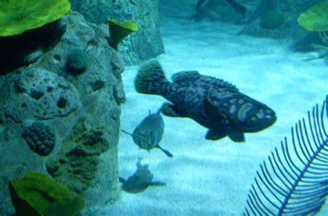 6 Zoos In Istanbul That Are Popular Tourist Attractions