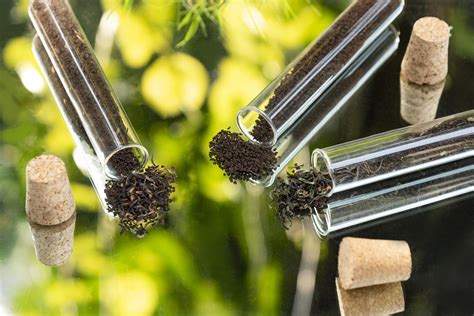 1950 Origins - Tea That Brings You Back Home