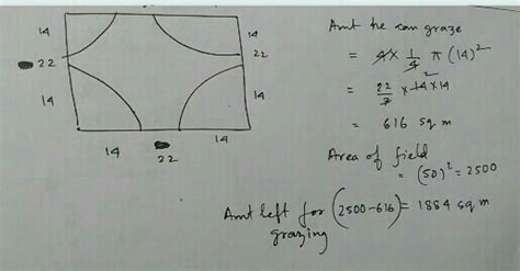 A cow is tied with a rope to one corner of a square field of side 50m ...
