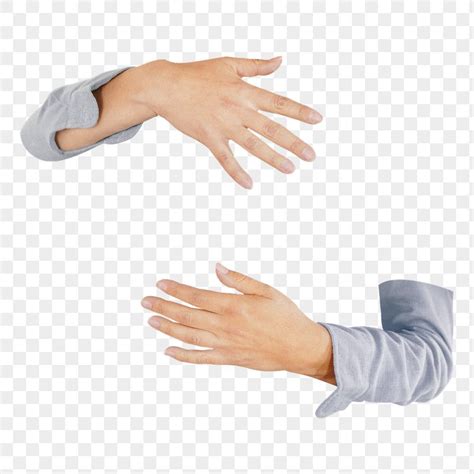 Arms reaching png sticker, transparent background | premium image by ...