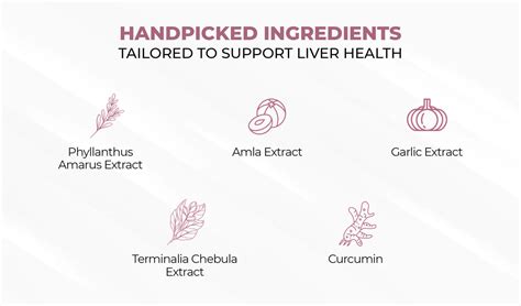 Liver Supplement | Support Fatty Liver | Complete Liver Health – InStrength