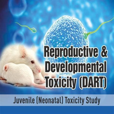 Reproductive And Developmental Toxicity Studies Services in Ghaziabad India