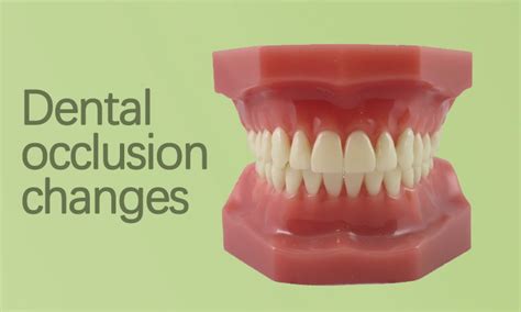 Dental Occlusion Changes Care in Surat | Dr. Ashutosh Shah