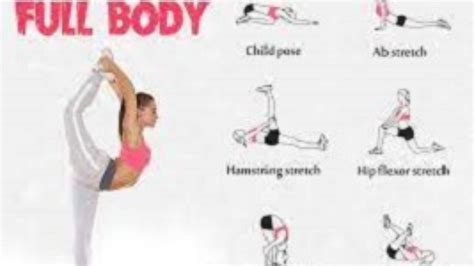 Image result for Flexibility Exercises Examples