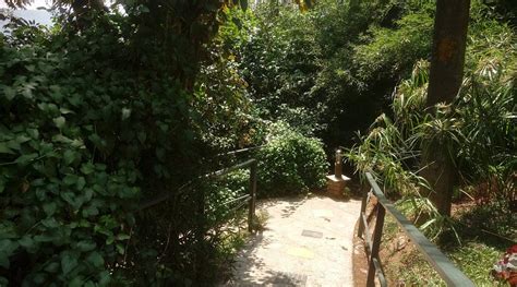 SPICE TREE MUNNAR (Kerala) - Hotel Reviews, Photos, Rate Comparison ...